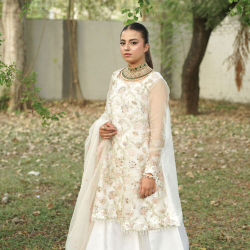 Roshni (WF-Z-003)
